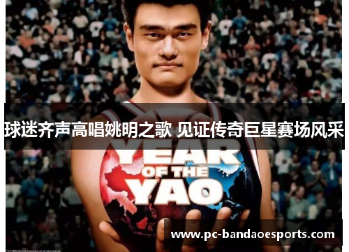 球迷齐声高唱姚明之歌 见证传奇巨星赛场风采
