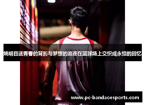 姚明目送青春的背影与梦想的追逐在篮球场上交织成永恒的回忆