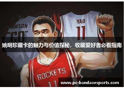 姚明珍藏卡的魅力与价值探秘，收藏爱好者必看指南