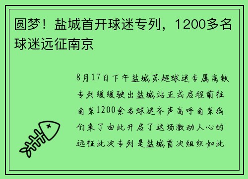 圆梦！盐城首开球迷专列，1200多名球迷远征南京